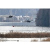 Goodbye Alouette 2010-051
