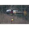 Goodbye Alouette 2010-054