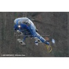 Goodbye Alouette 2010-055