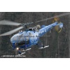 Goodbye Alouette 2010-056