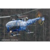 Goodbye Alouette 2010-057