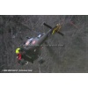 Goodbye Alouette 2010-063