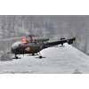 Goodbye Alouette 2010-066