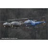 Goodbye Alouette 2010-068