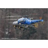Goodbye Alouette 2010-069