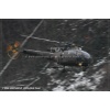 Goodbye Alouette 2010-070