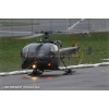 Goodbye Alouette 2010-071