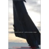 Payerne 080111-016
