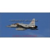 Payerne 080111-056