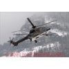 Meiringen 070324-016