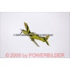 Meiringen 070324-069