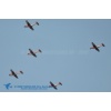 PC-7 ueber Hallwilersee-007
