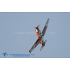 Boardstock 2013-003