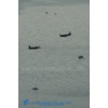 Boardstock 2013-006