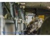 Heliflug AXA 2015-004