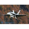 Meiringen 151026-010