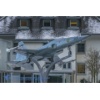 Meiringen 160116-008
