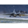 Meiringen 160116-009