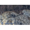 Meiringen 160126-070 Kopie