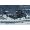 Meiringen 160126-147 Kopie