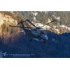 Meiringen 160126-155 Kopie