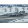 Meiringen 160126-157 Kopie