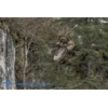 Meiringen 160330-014 Kopie