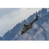 Meiringen 160330-236 Kopie