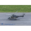 Meiringen 160330-270 Kopie