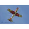 Payerne 170608-001 Kopie