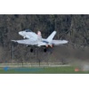 Meiringen 170328-014 Kopie