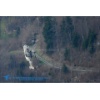 Meiringen 170328-115 Kopie