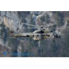 Meiringen 170328-180 Kopie