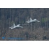 Meiringen 170328-221 Kopie