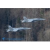 Meiringen 170328-233 Kopie