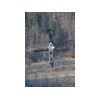 Meiringen 170328-302 Kopie