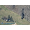 Meiringen 170328-319 Kopie