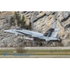 Meiringen 170314-005 Kopie