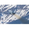 Meiringen 170314-034 Kopie