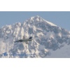 Meiringen 170314-146 Kopie