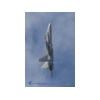 Payerne 170509-004