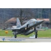 Meiringen 170321-018