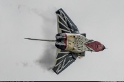 photo 201283