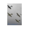 RIAT 2017-528 Kopie