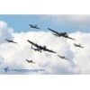 RIAT 2018-00467 Kopie