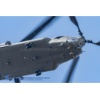 RIAT 2018-01159 Kopie