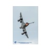 RIAT 2018-02309 Kopie