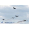RIAT 2018-01018 Kopie